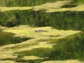 Nationalpark012